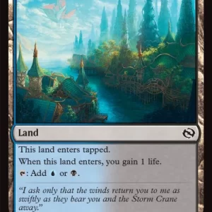 Brand New - Dismal Backwater - Tarkir: Dragonstorm