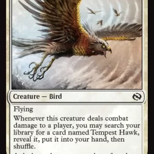 Brand New - Tempest Hawk - Tarkir: Dragonstorm