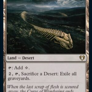 Near Mint - Scavenger Grounds